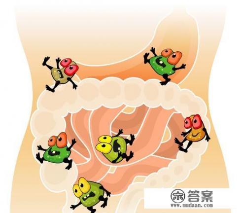 肠胃不好可以多吃哪些食物呢? 肠胃不好可以多吃哪些食物呢?