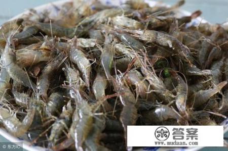 超大虾最好吃的5种做法？