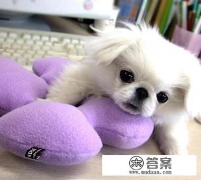 日用品包括哪些? 日用品包括哪些?