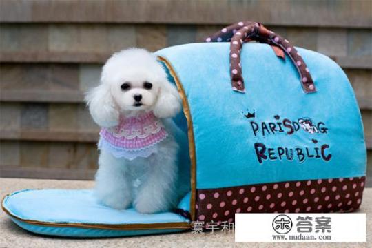 日用品包括哪些? 日用品包括哪些?