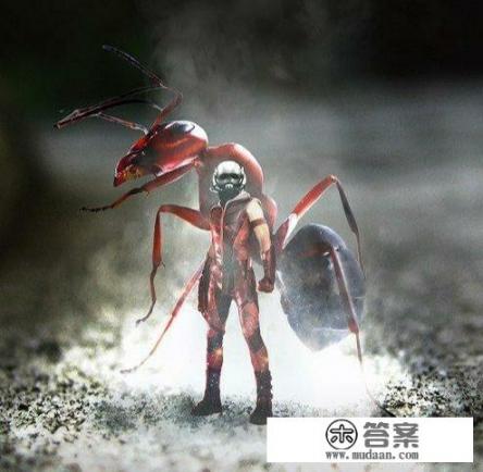 为什么蚁人不能像蜘蛛侠一样翻译为蚂蚁侠? 为什么蚁人不能像蜘蛛侠一样翻译为蚂蚁侠?