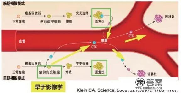 CTC检测，真的有可能成为肿瘤早期筛查的“利器”吗？你怎么看？