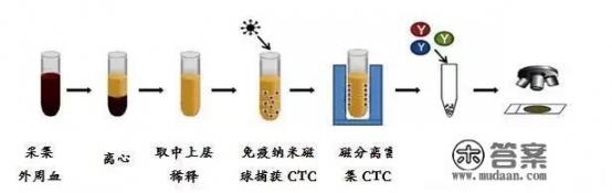 CTC检测，真的有可能成为肿瘤早期筛查的“利器”吗？你怎么看？