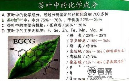 一个人一斤茶叶能喝多长时间? 一个人一斤茶叶能喝多长时间?