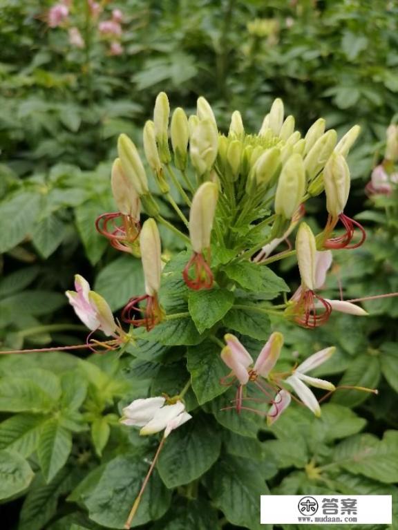 39度如何降温？