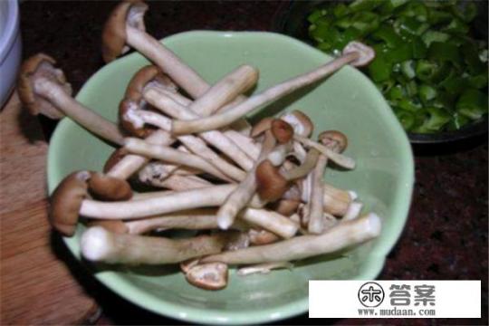 茶树菇煲汤的做法大全？