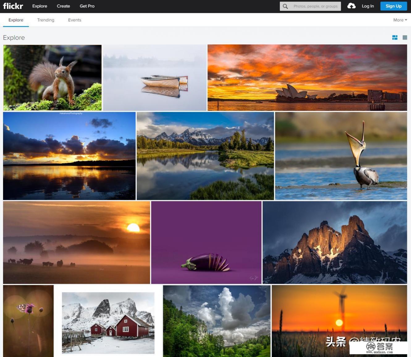 欧美插画网站推荐？