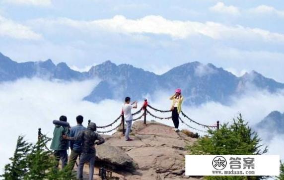 去森林公园带哪些物品？