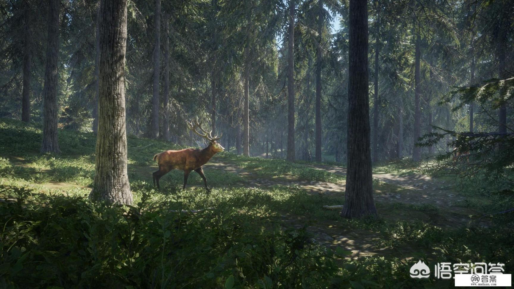 cf完成自然月游戏6天任务什么意思？