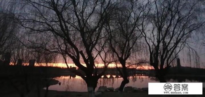 12123选号没喜欢的可以不选吗？