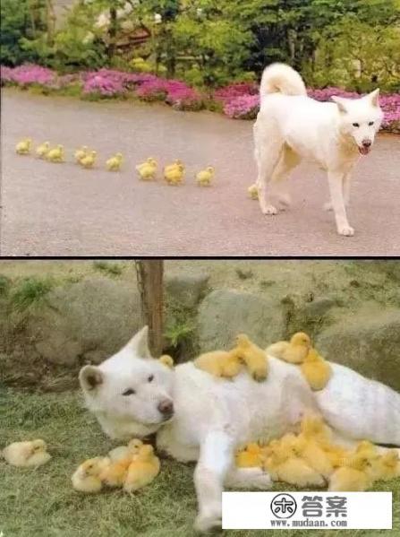 12123选号没喜欢的可以不选吗？