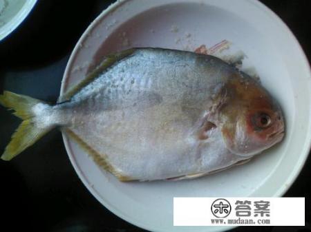 清蒸鲳鱼的做法? 清蒸鲳鱼的做法?