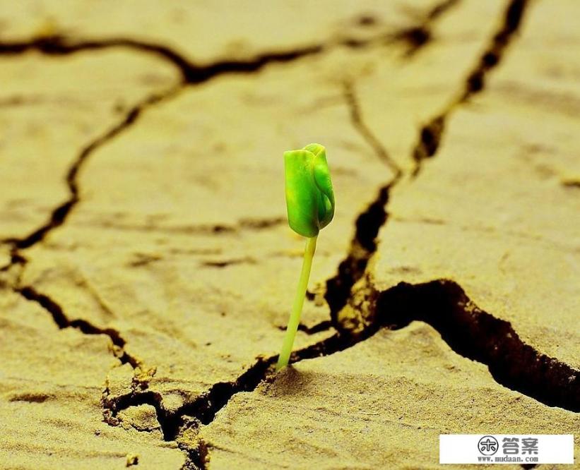 男朋友不保护你句子？