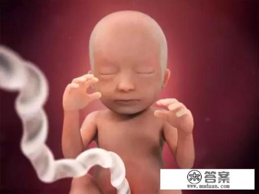 八个月宝宝发育标准？