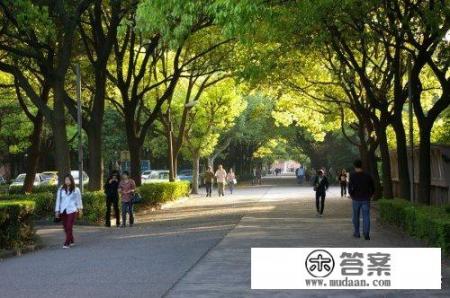 大学感悟和成长历程？