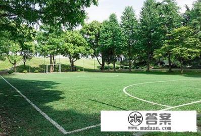 大学感悟和成长历程？