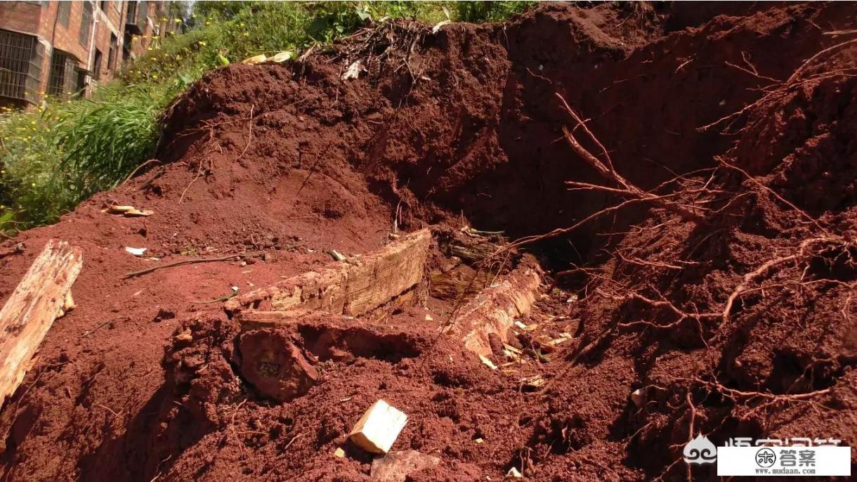 那天遇见你是什么歌？