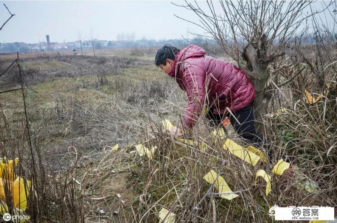 那天遇见你是什么歌？