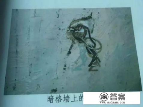 如何看待湖南凤凰县16岁少女被五十岁单身老头囚禁地洞充当性奴24天一案？