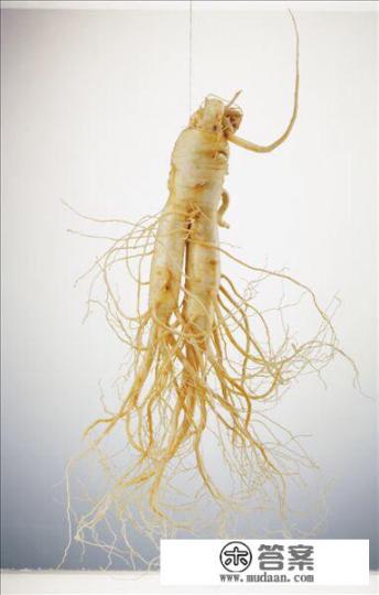 人参鸡汤做法？