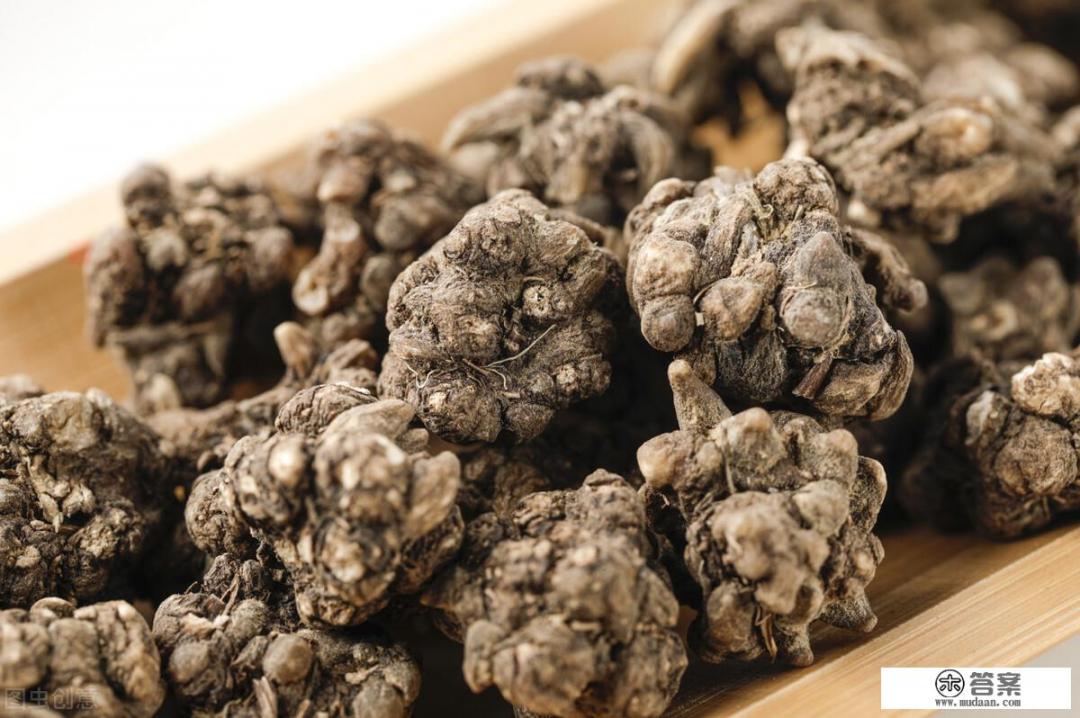 为什么猫爪草那么贵？