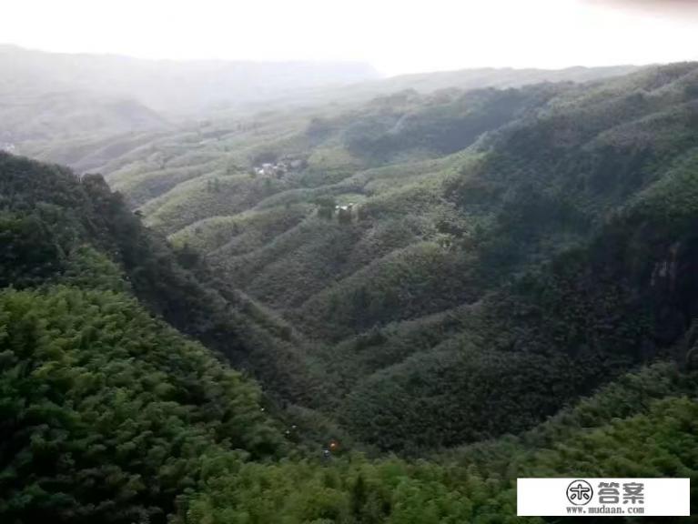 第一次去蜀南竹海怎么安排？