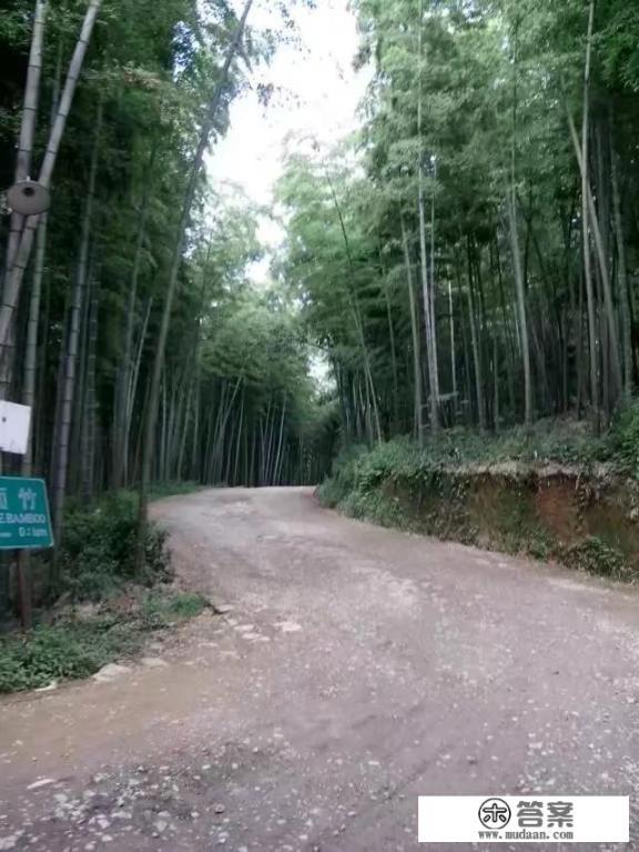 第一次去蜀南竹海怎么安排？