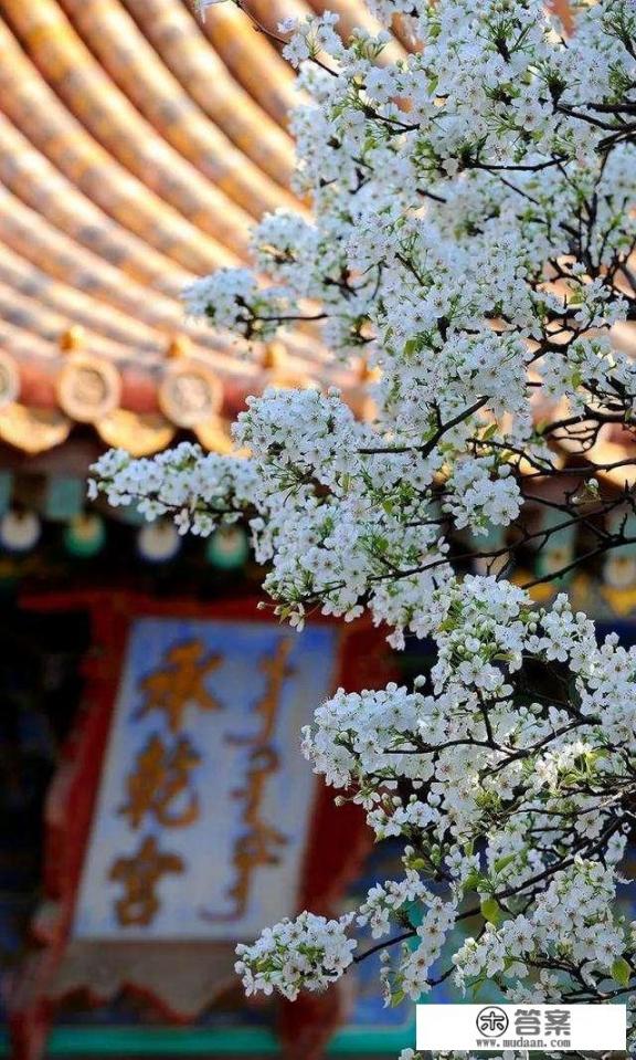 故宫的自然景观和人文景观 故宫的自然景观和人文景观