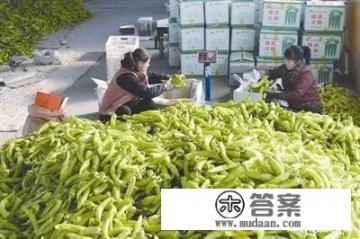 400克辣椒4.25元一斤是多少钱？