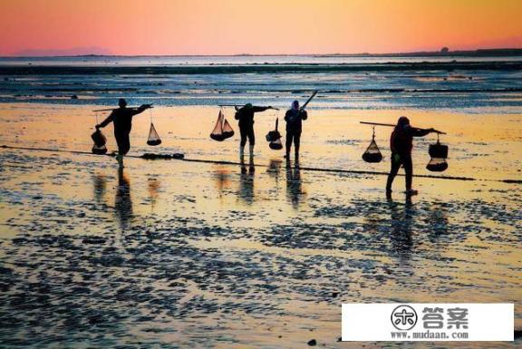 吃螃蟹技巧视频螃蟹怎么吃？