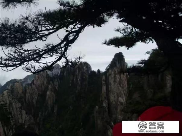 黄山松鼠寿命最长的