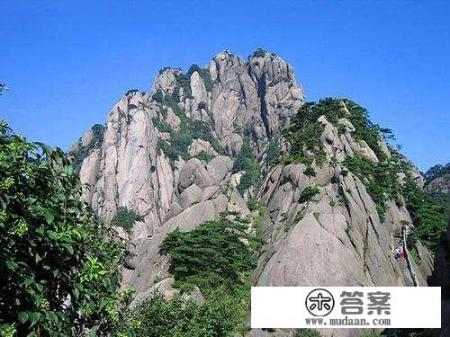 黄山松鼠寿命最长的