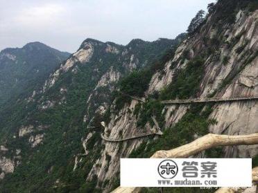 黄山松鼠寿命最长的