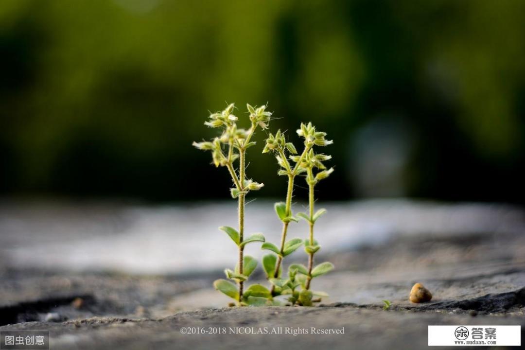 入学生会谈谈自己的理想和大学计划？