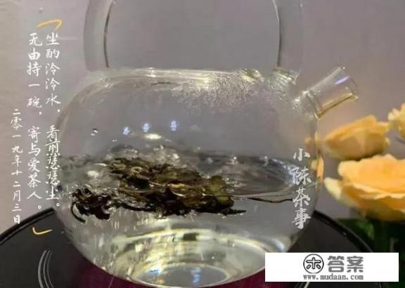 养生壶怎样煮养生茶？