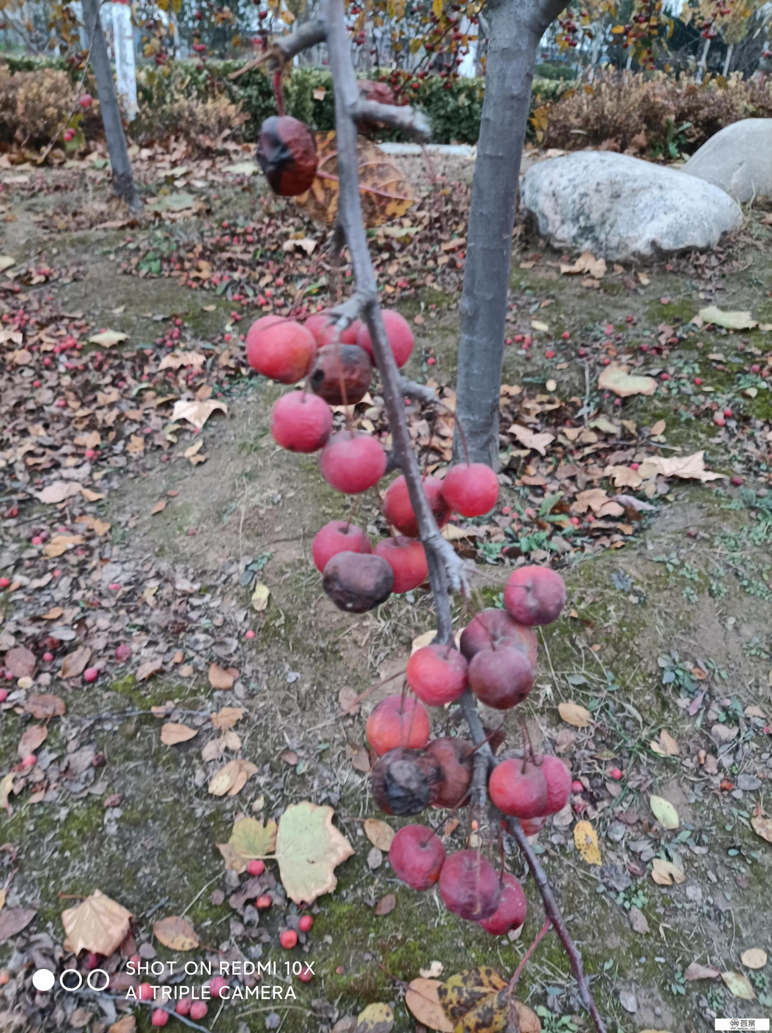 守住幸福古诗? 守住幸福古诗?