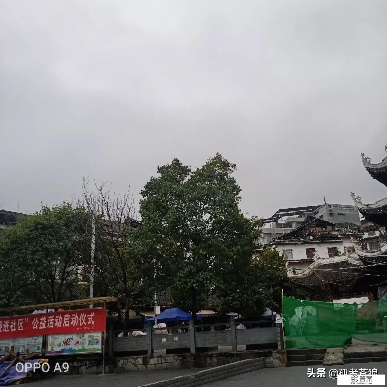 明知没有结果还要坚持经典语录? 明知没有结果还要坚持经典语录?