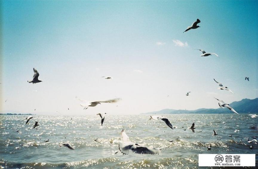 云南国家重点风景名胜有哪些区？