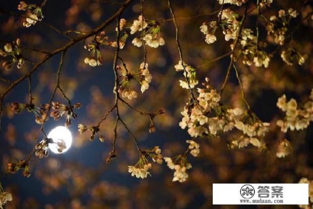 丈夫不关心媳妇心里好难受怎么办？