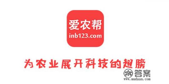 香椿种植技术全过程？