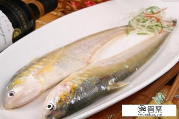 有人说野生长江刀鱼珍贵稀有且价格昂贵,但养殖的人却很少,对此你怎么看?为什么呢? 有人说野生长江刀鱼珍贵稀有且价格昂贵,但养殖的人却很少,对此你怎么看?为什么呢?