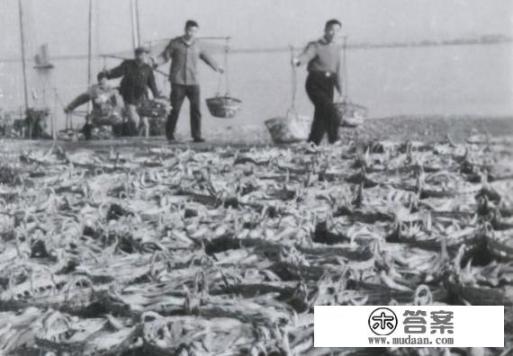 有人说野生长江刀鱼珍贵稀有且价格昂贵,但养殖的人却很少,对此你怎么看?为什么呢? 有人说野生长江刀鱼珍贵稀有且价格昂贵,但养殖的人却很少,对此你怎么看?为什么呢?