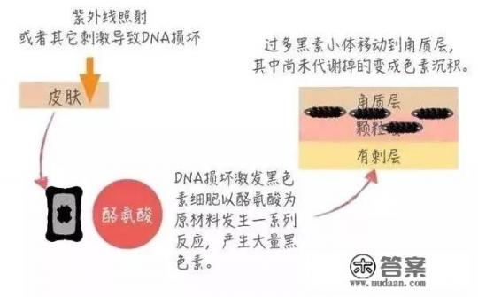 如何祛除老年斑和黄褐斑？