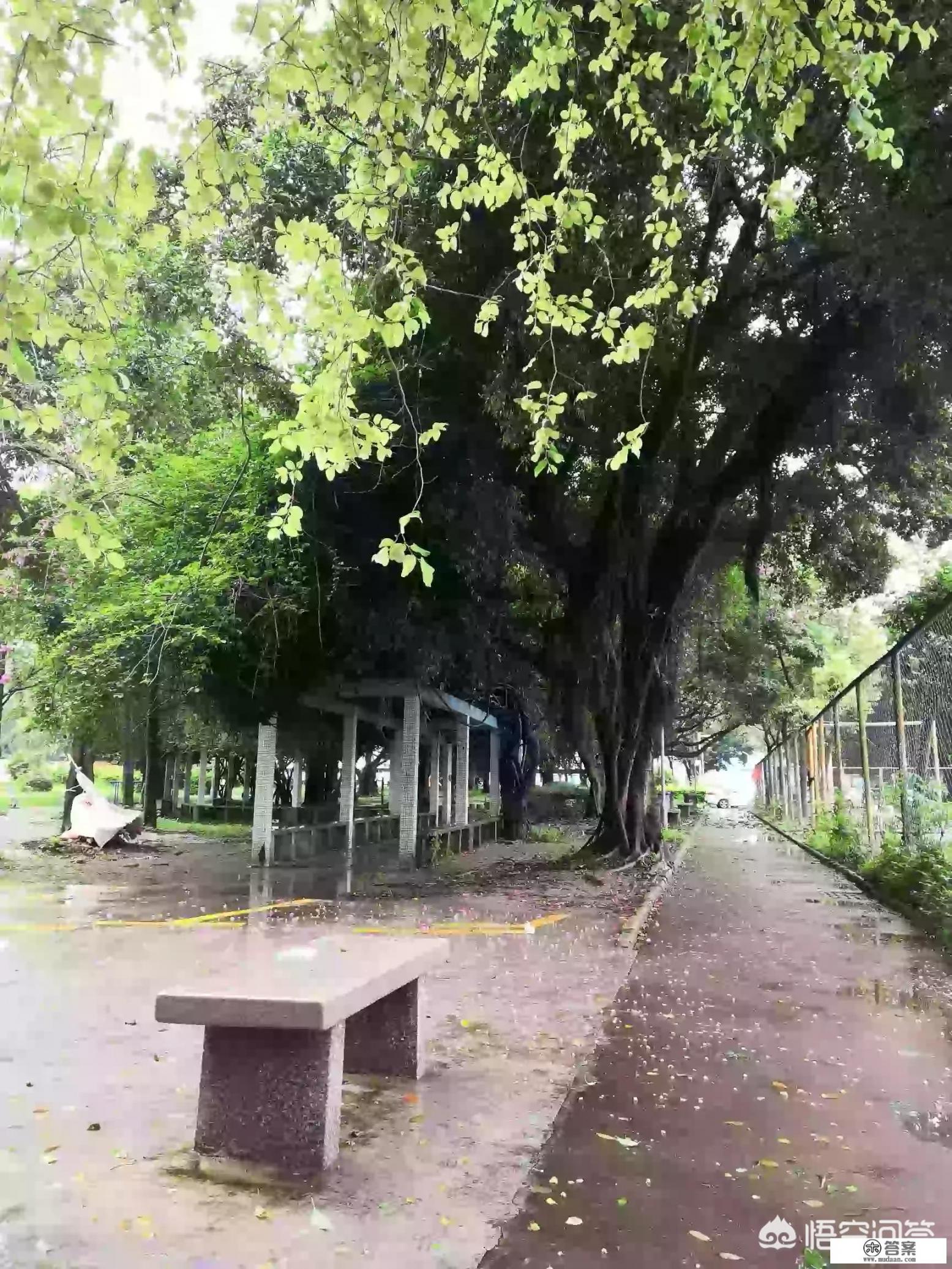 做瑜伽有什麽好处？