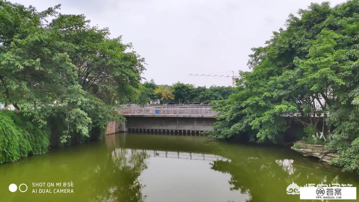 比较中南财经政法大学和四川大学？