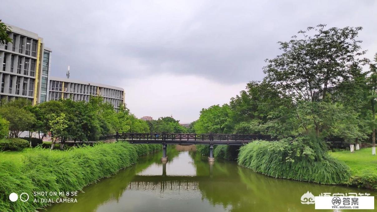 比较中南财经政法大学和四川大学？