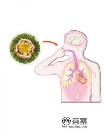 请问冠状病毒的主要症状是什么？