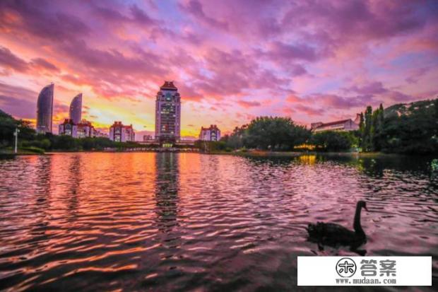 美术类的是上东南大学好还是厦门大学好？