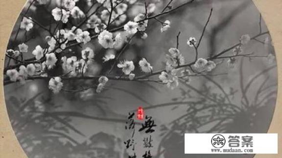 有没有跟《赠我予白》类似的书？