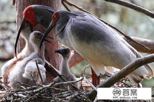 洋县是哪个省的﹖？